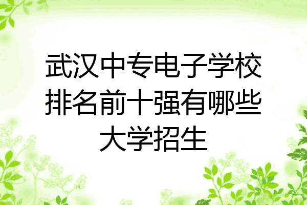 武汉中专电子学校排名前十强有哪些大学招生