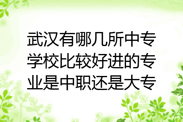 武汉有哪几所中专学校比较好进的专业是中职还是大专