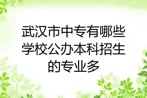 武汉市中专有哪些学校公办本科招生的专业多