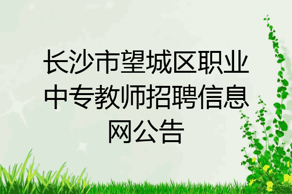 长沙市望城区职业中专教师招聘信息网公告