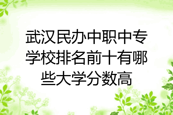 武汉民办中职中专学校排名前十有哪些大学分数高