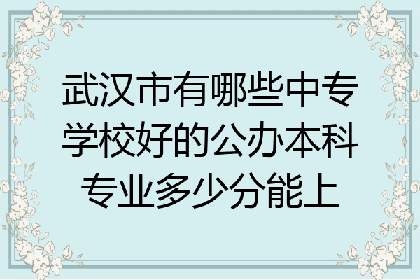 武汉市有哪些中专学校好的公办本科专业多少分能上