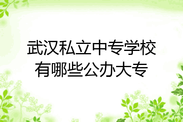武汉私立中专学校有哪些公办大专