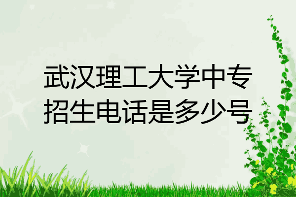 武汉理工大学中专招生电话是多少号