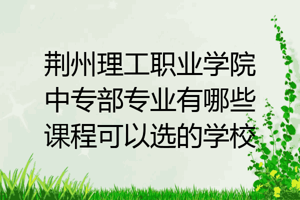 荆州理工职业学院中专部专业有哪些课程可以选的学校