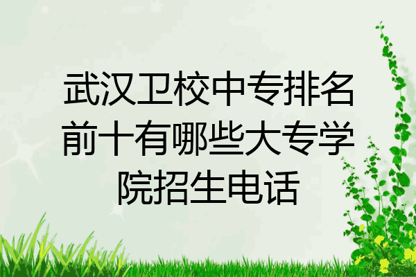 武汉卫校中专排名前十有哪些大专学院招生电话