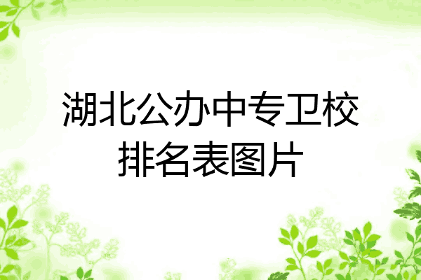 湖北公办中专卫校排名表图片