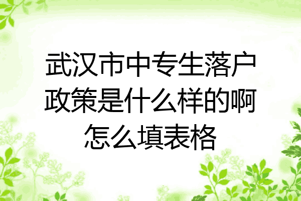 武汉市中专生落户政策是什么样的啊怎么填表格