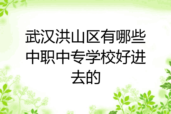 武汉洪山区有哪些中职中专学校好进去的