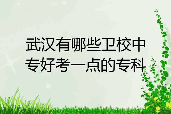 武汉有哪些卫校中专好考一点的专科