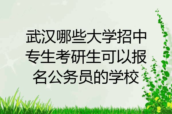 武汉哪些大学招中专生考研生可以报名公务员的学校