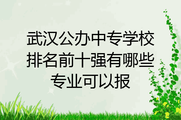 武汉公办中专学校排名前十强有哪些专业可以报