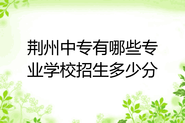 荆州中专有哪些专业学校招生多少分
