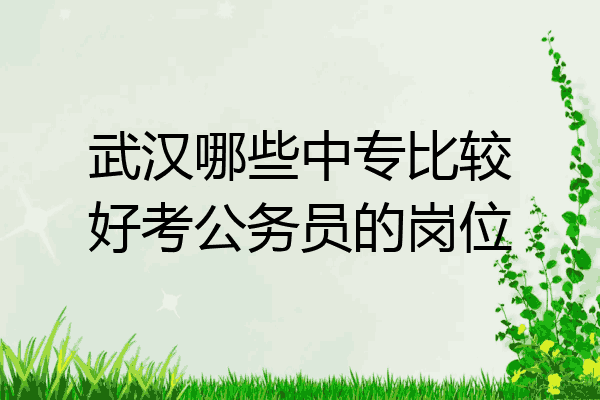 武汉哪些中专比较好考公务员的岗位
