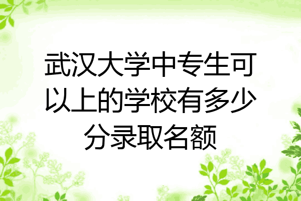 武汉大学中专生可以上的学校有多少分录取名额