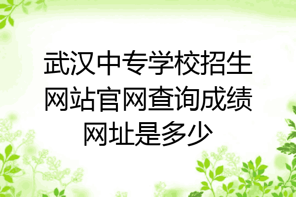 武汉中专学校招生网站官网查询成绩网址是多少