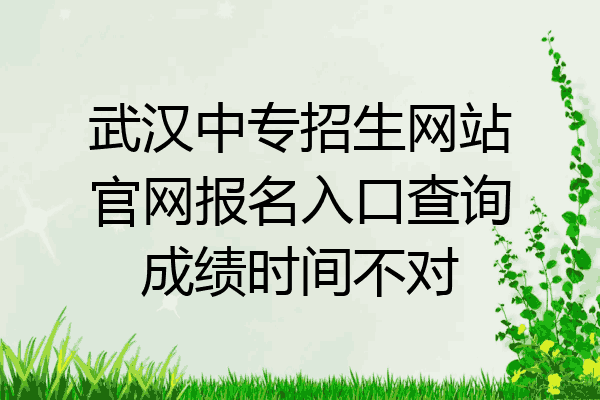 武汉中专招生网站官网报名入口查询成绩时间不对