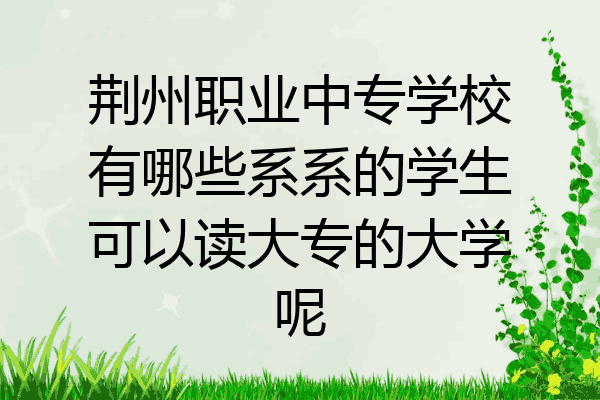 荆州职业中专学校有哪些系系的学生可以读大专的大学呢