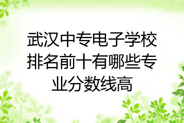 武汉中专电子学校排名前十有哪些专业分数线高