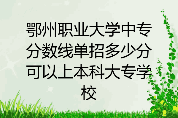 鄂州职业大学中专分数线单招多少分可以上本科大专学校