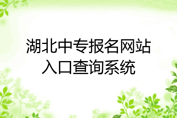 湖北中专报名网站入口查询系统