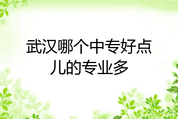 武汉哪个中专好点儿的专业多