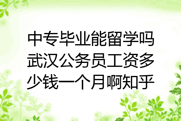 中专毕业能留学吗武汉公务员工资多少钱一个月啊知乎