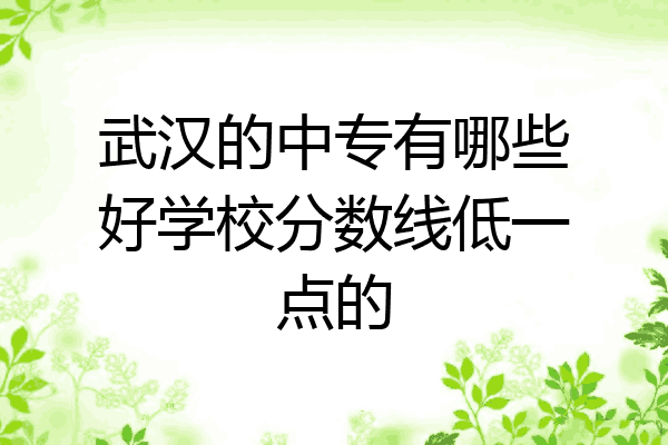 武汉的中专有哪些好学校分数线低一点的