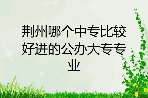 荆州哪个中专比较好进的公办大专专业