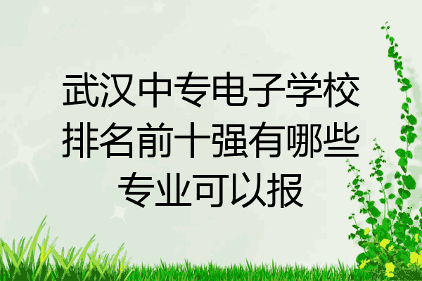 武汉中专电子学校排名前十强有哪些专业可以报