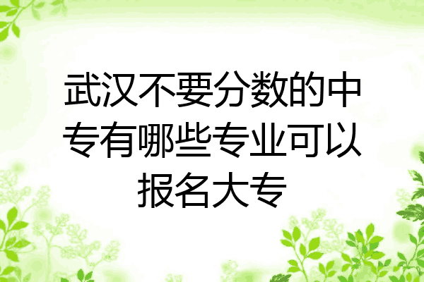 武汉不要分数的中专有哪些专业可以报名大专
