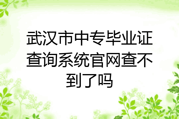 武汉市中专毕业证查询系统官网查不到了吗