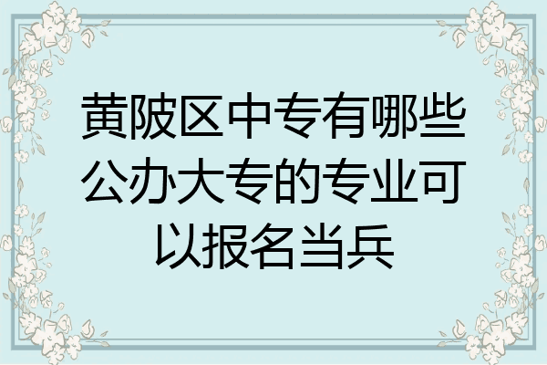 黄陂区中专有哪些公办大专的专业可以报名当兵