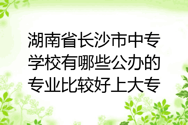 湖南省长沙市中专学校有哪些公办的专业比较好上大专