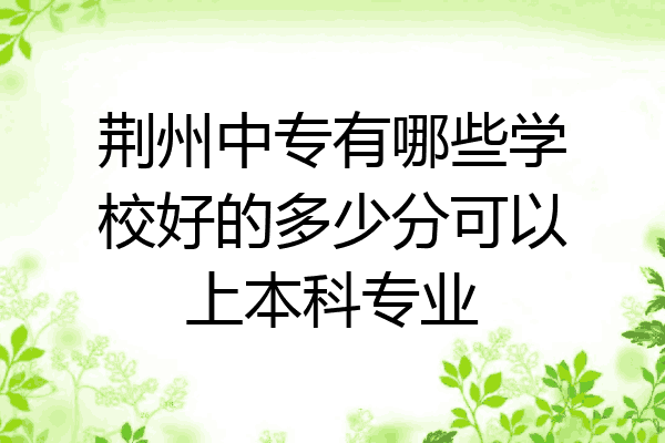 荆州中专有哪些学校好的多少分可以上本科专业