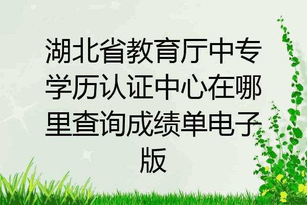 湖北省教育厅中专学历认证中心在哪里查询成绩单电子版