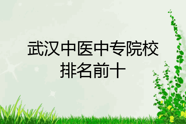 武汉中医中专院校排名前十