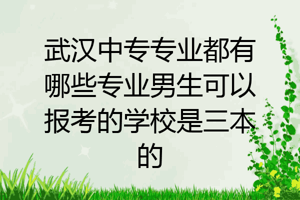 武汉中专专业都有哪些专业男生可以报考的学校是三本的