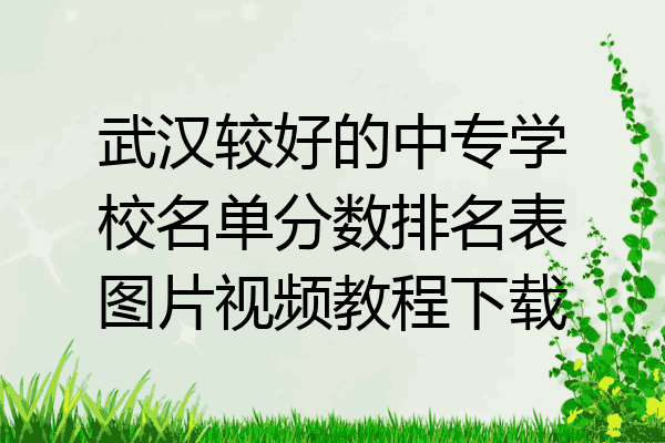 武汉较好的中专学校名单分数排名表图片视频教程下载