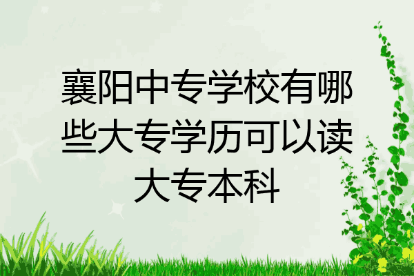 襄阳中专学校有哪些大专学历可以读大专本科