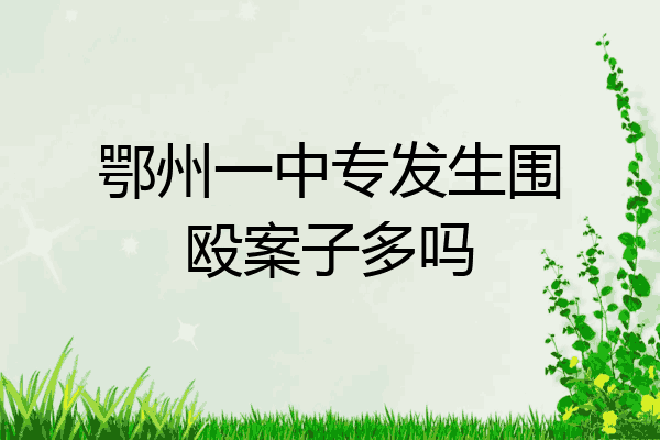 鄂州一中专发生围殴案子多吗