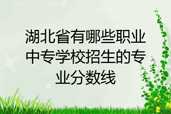 湖北省有哪些职业中专学校招生的专业分数线