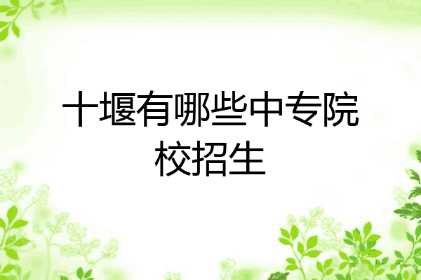 十堰有哪些中专院校招生