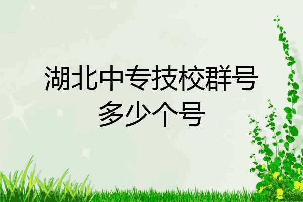 湖北中专技校群号多少个号