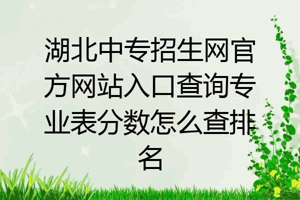 湖北中专招生网官方网站入口查询专业表分数怎么查排名