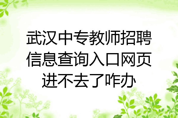 武汉中专教师招聘信息查询入口网页进不去了咋办