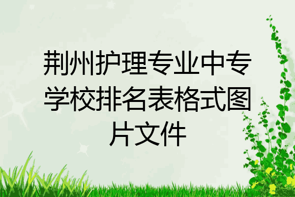 荆州护理专业中专学校排名表格式图片文件