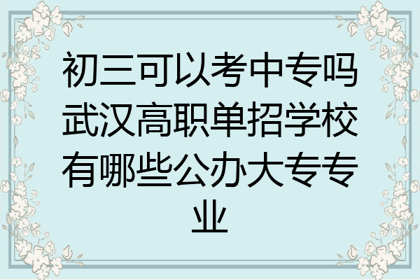 初三可以考中专吗武汉高职单招学校有哪些公办大专专业