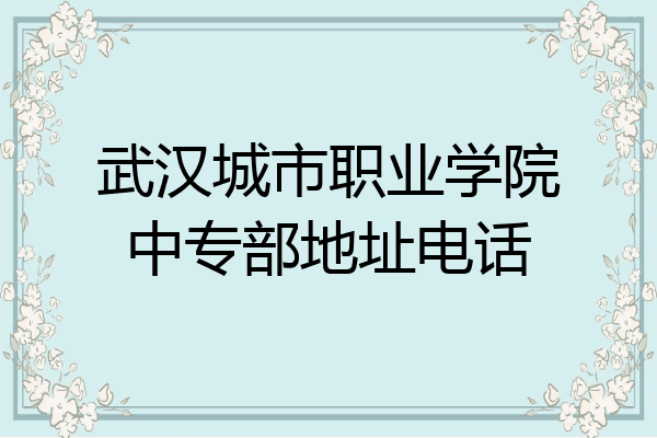 武汉城市职业学院中专部地址电话