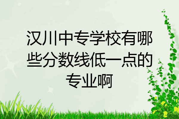 汉川中专学校有哪些分数线低一点的专业啊